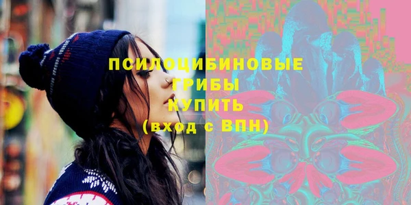 соль ск Заводоуковск