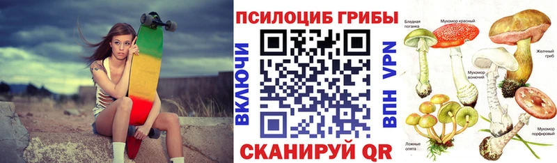 Купить  Обоянь  Галлюциногенные грибы Magic Shrooms 