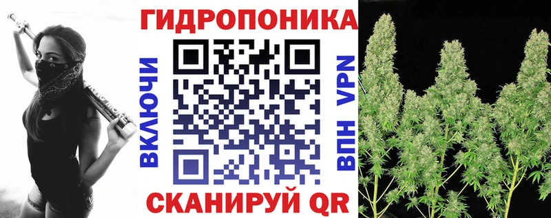 Купить закладки  Обоянь  Шишки марихуана Ganja 